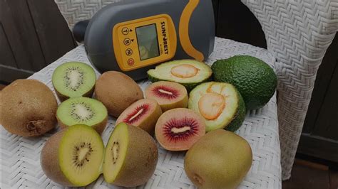 Dried Kiwi moisture meter|dry matter in kiwi fruit.